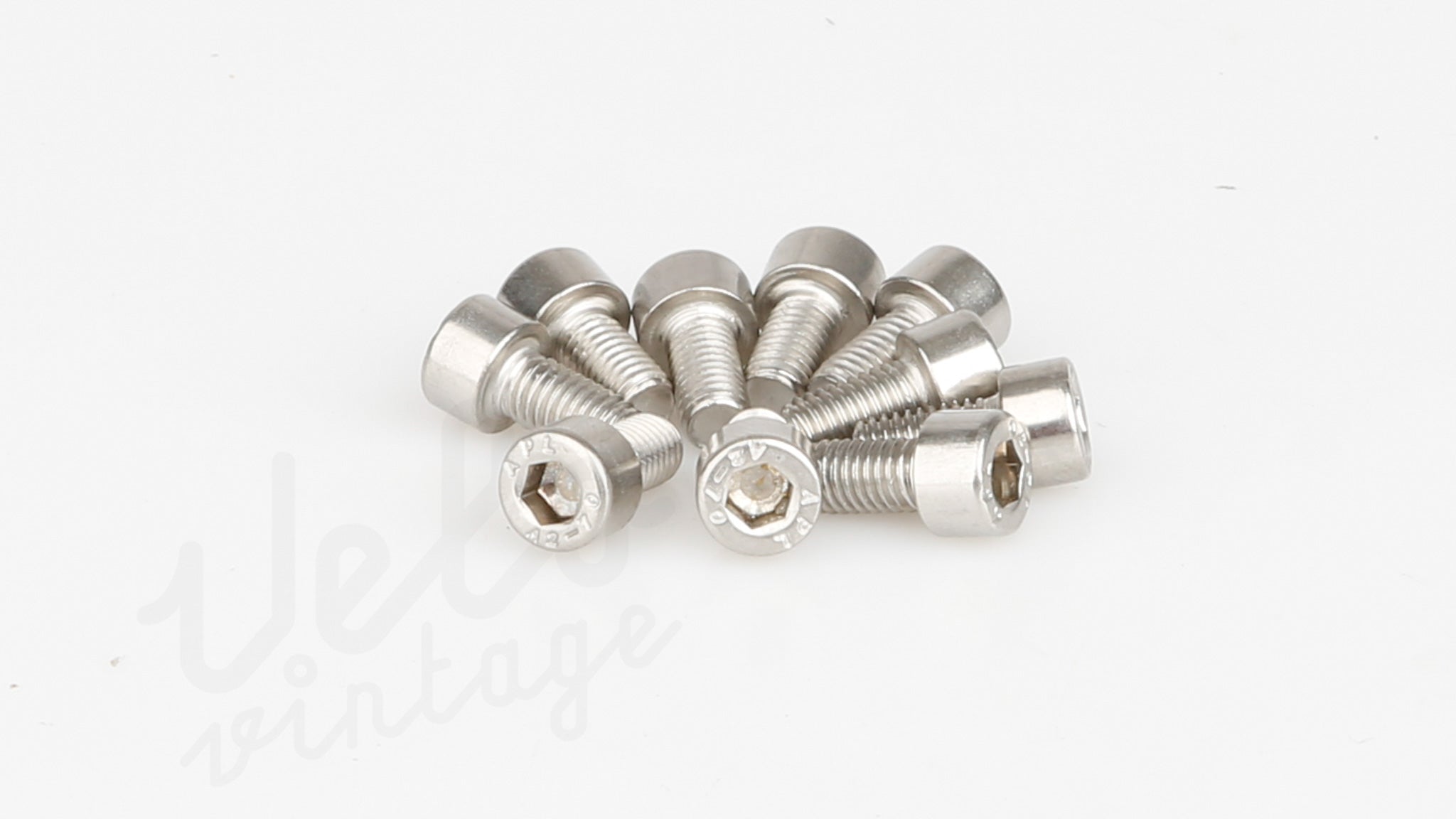 10 stk Rustfri M5x10mm Unbracobolte
